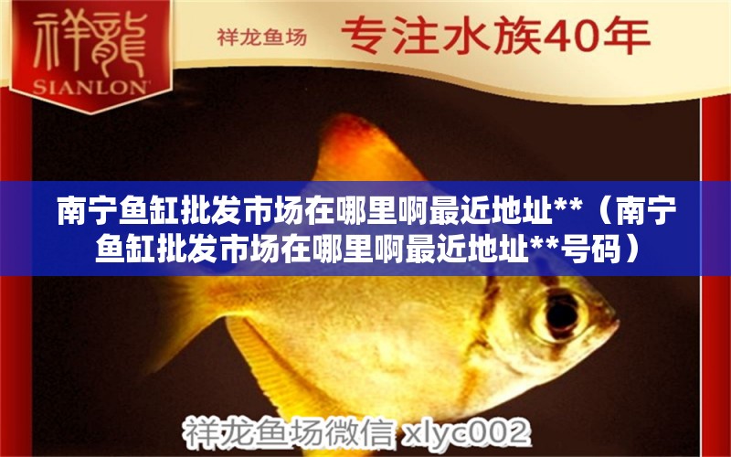 南寧魚缸批發(fā)市場在哪里啊最近地址**（南寧魚缸批發(fā)市場在哪里啊最近地址**號碼） 魚缸風水