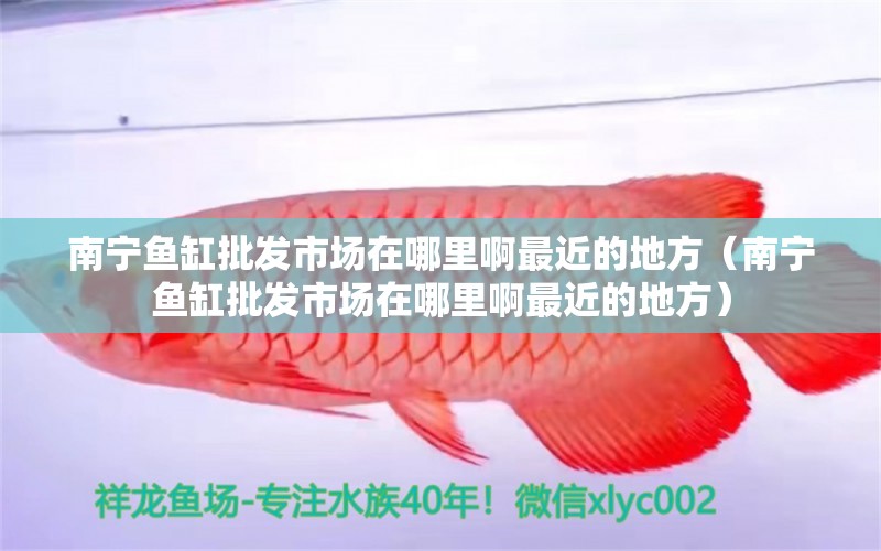 南寧魚缸批發(fā)市場在哪里啊最近的地方（南寧魚缸批發(fā)市場在哪里啊最近的地方）