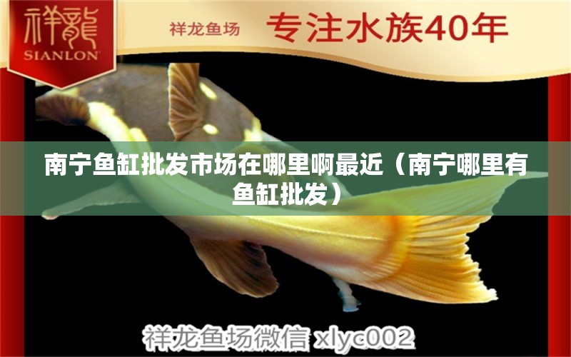 南寧魚缸批發(fā)市場在哪里啊最近（南寧哪里有魚缸批發(fā)）