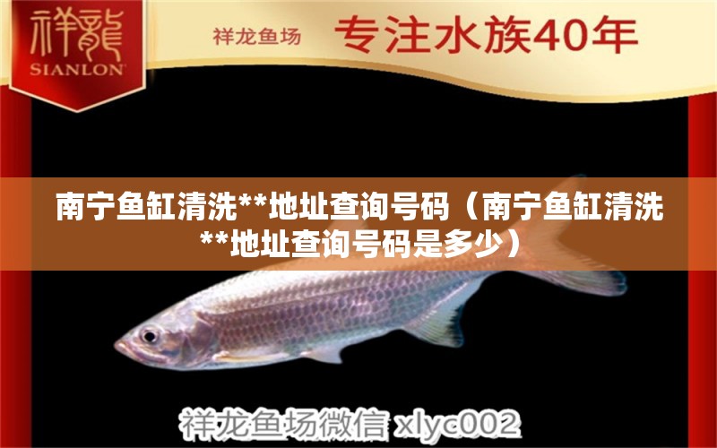 南寧魚缸清洗**地址查詢號(hào)碼（南寧魚缸清洗**地址查詢號(hào)碼是多少）