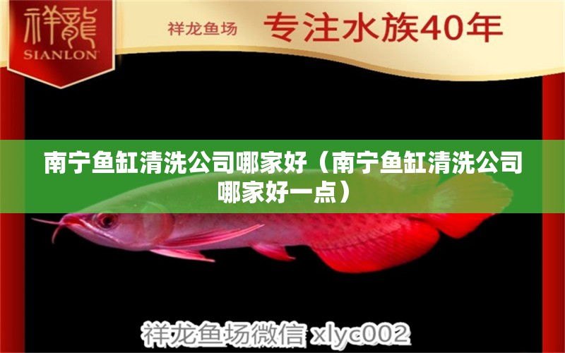 南寧魚缸清洗公司哪家好（南寧魚缸清洗公司哪家好一點） 觀賞魚市場（混養(yǎng)魚）