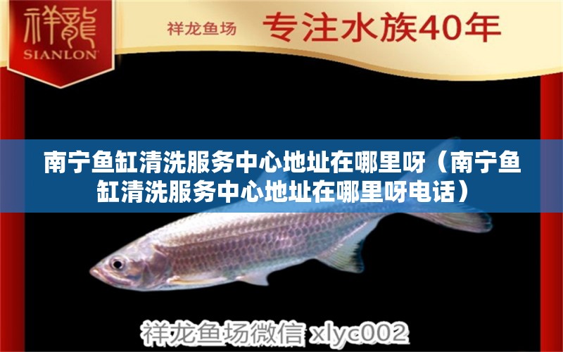 南寧魚缸清洗服務(wù)中心地址在哪里呀（南寧魚缸清洗服務(wù)中心地址在哪里呀電話）