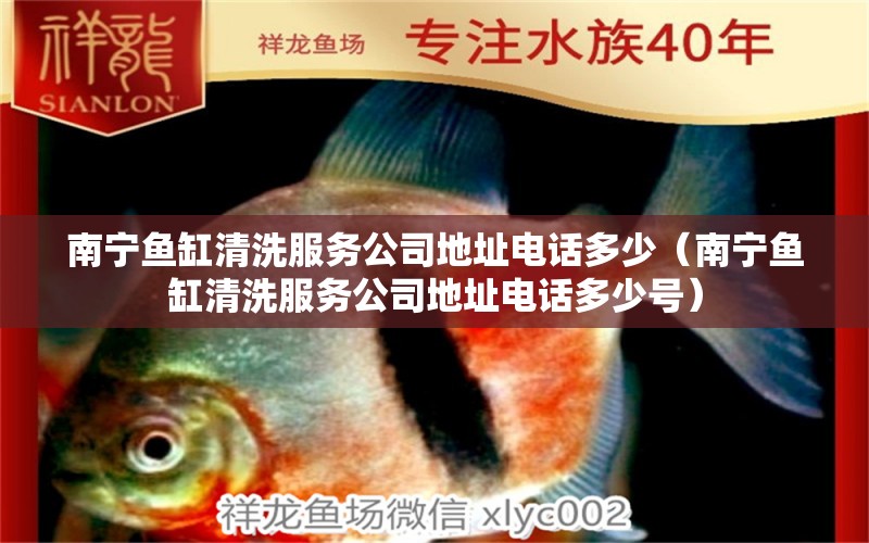 南寧魚(yú)缸清洗服務(wù)公司地址電話(huà)多少（南寧魚(yú)缸清洗服務(wù)公司地址電話(huà)多少號(hào)） 帝王血鉆