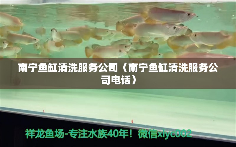 南寧魚缸清洗服務(wù)公司（南寧魚缸清洗服務(wù)公司電話） 其他品牌魚缸