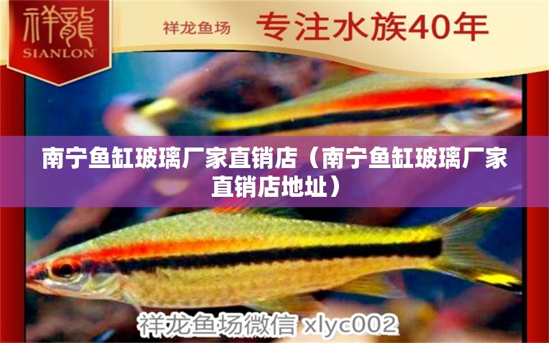 南寧魚缸玻璃廠家直銷店（南寧魚缸玻璃廠家直銷店地址） 觀賞魚市場（混養(yǎng)魚）