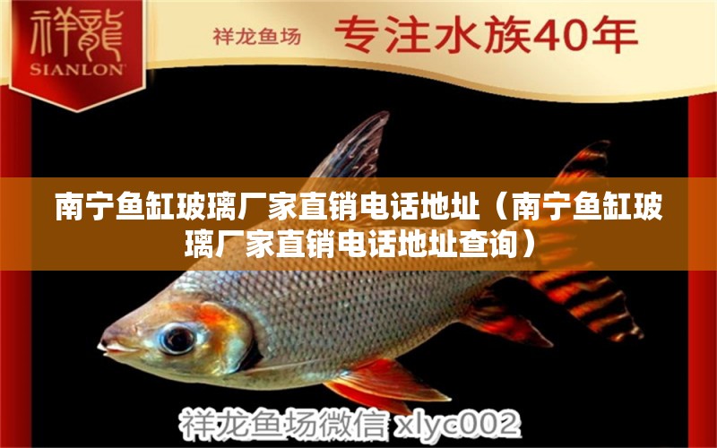 南寧魚(yú)缸玻璃廠家直銷電話地址（南寧魚(yú)缸玻璃廠家直銷電話地址查詢）