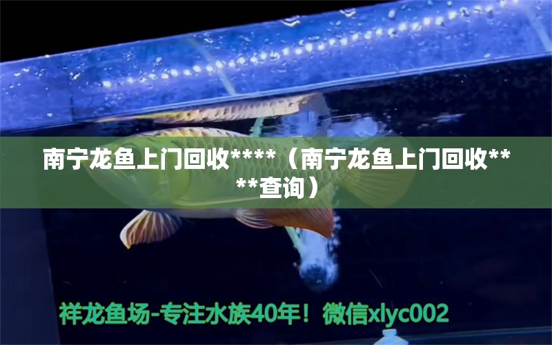 南寧龍魚上門回收****（南寧龍魚上門回收****查詢） 祥龍水族醫(yī)院