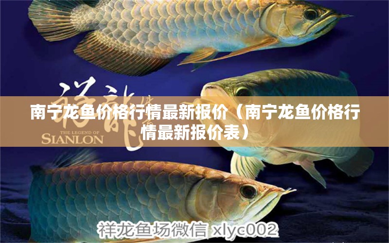 南寧龍魚價格行情最新報(bào)價（南寧龍魚價格行情最新報(bào)價表）