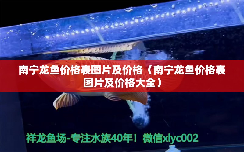 南寧龍魚價格表圖片及價格（南寧龍魚價格表圖片及價格大全）