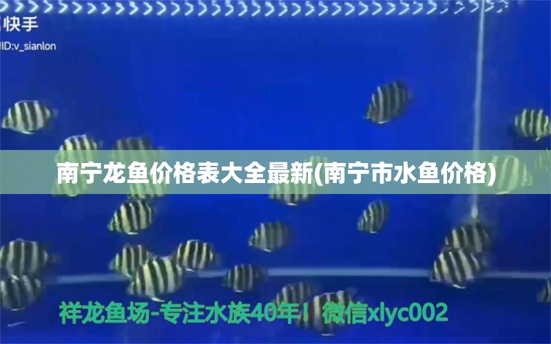 南寧龍魚價(jià)格表大全最新(南寧市水魚價(jià)格) 超血紅龍魚