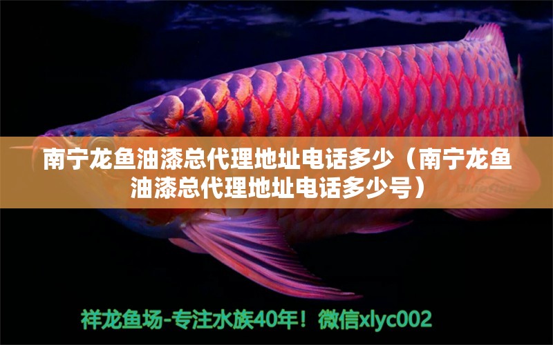 南寧龍魚油漆總代理地址電話多少（南寧龍魚油漆總代理地址電話多少號）