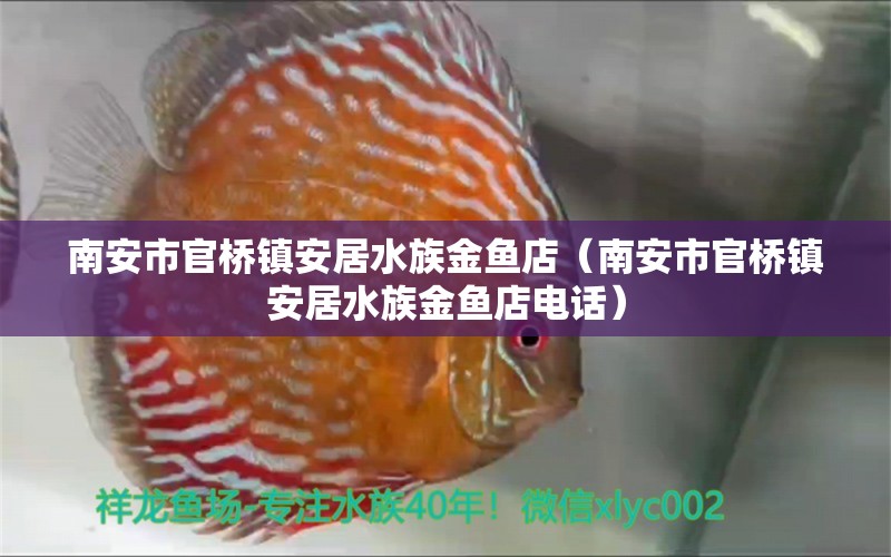 南安市官橋鎮(zhèn)安居水族金魚店（南安市官橋鎮(zhèn)安居水族金魚店電話）