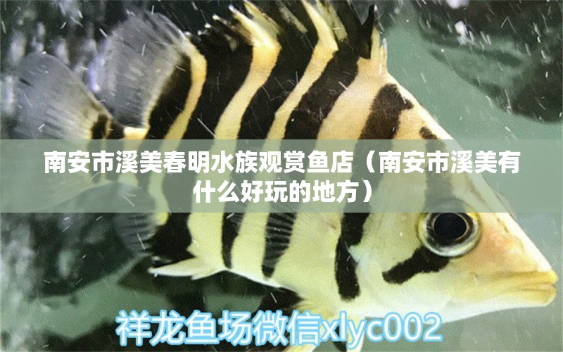 南安市溪美春明水族觀賞魚店（南安市溪美有什么好玩的地方） 全國水族館企業(yè)名錄