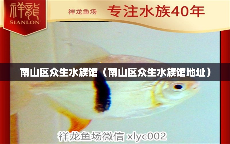 南山區(qū)眾生水族館（南山區(qū)眾生水族館地址） 全國水族館企業(yè)名錄