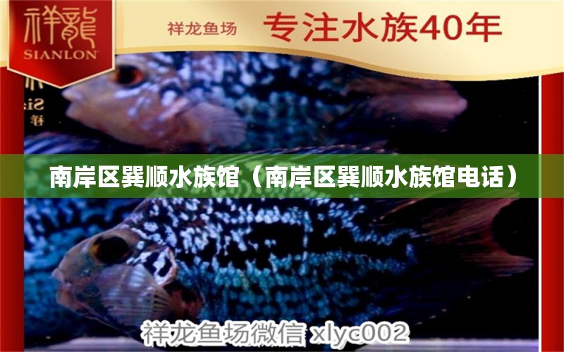 南岸區(qū)巽順水族館（南岸區(qū)巽順水族館電話） 全國水族館企業(yè)名錄