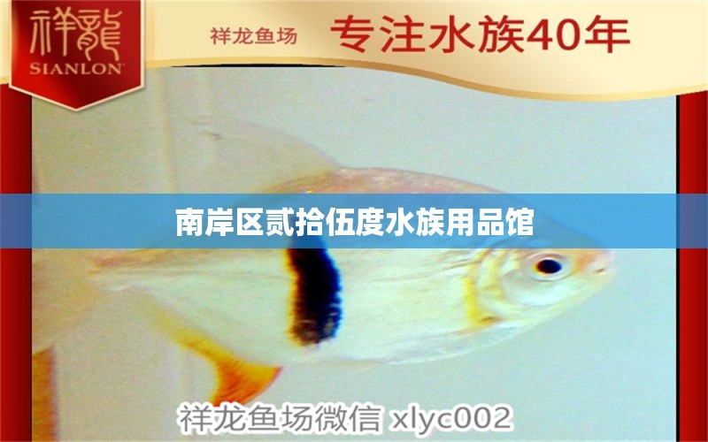 南岸區(qū)貳拾伍度水族用品館