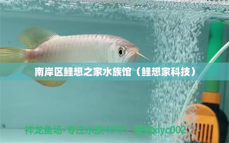 南岸區(qū)鯉想之家水族館（鯉想家科技）