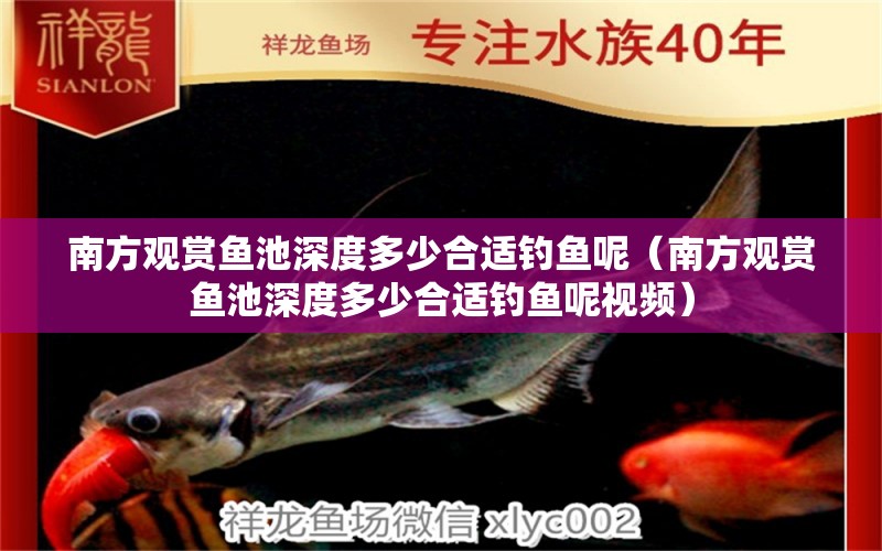 南方觀賞魚池深度多少合適釣魚呢（南方觀賞魚池深度多少合適釣魚呢視頻） 垂釣樂園