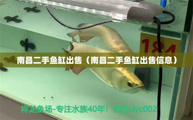 南昌二手魚缸出售（南昌二手魚缸出售信息）