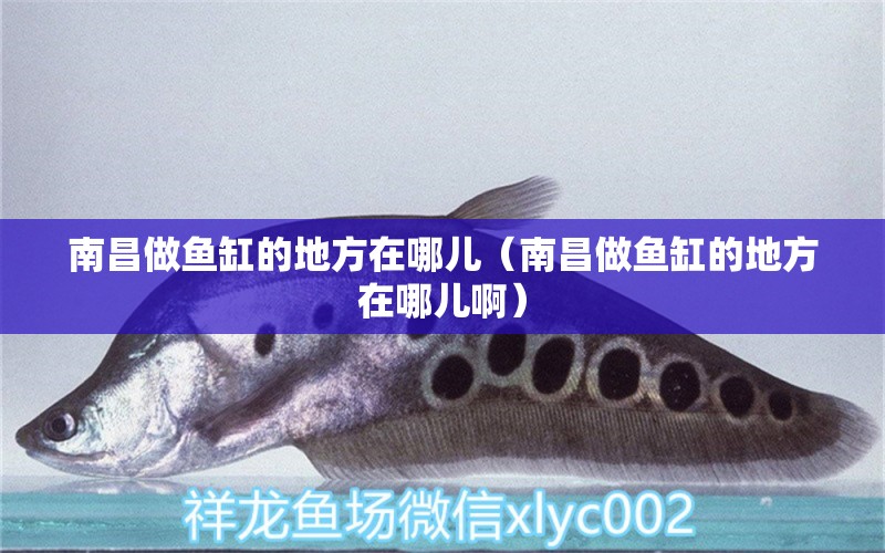 南昌做魚缸的地方在哪兒（南昌做魚缸的地方在哪兒?。?祥龍水族醫(yī)院