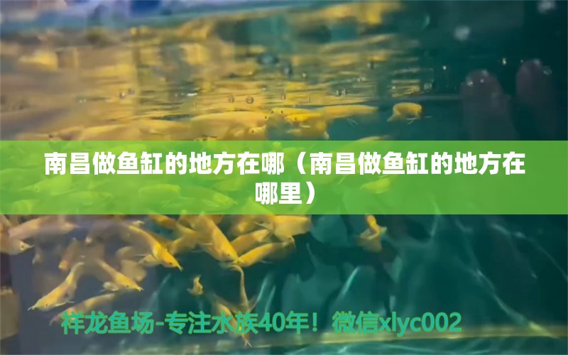 南昌做魚缸的地方在哪（南昌做魚缸的地方在哪里） 其他品牌魚缸