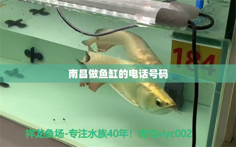 南昌做魚缸的電話號碼 其他品牌魚缸