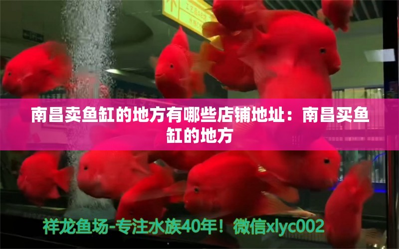 南昌賣魚缸的地方有哪些店鋪地址：南昌買魚缸的地方