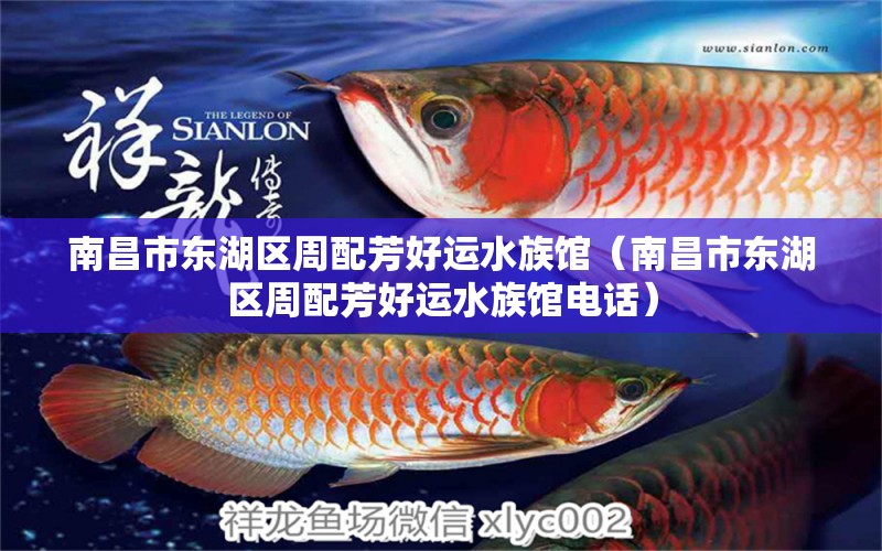 南昌市東湖區(qū)周配芳好運水族館（南昌市東湖區(qū)周配芳好運水族館電話） 全國水族館企業(yè)名錄