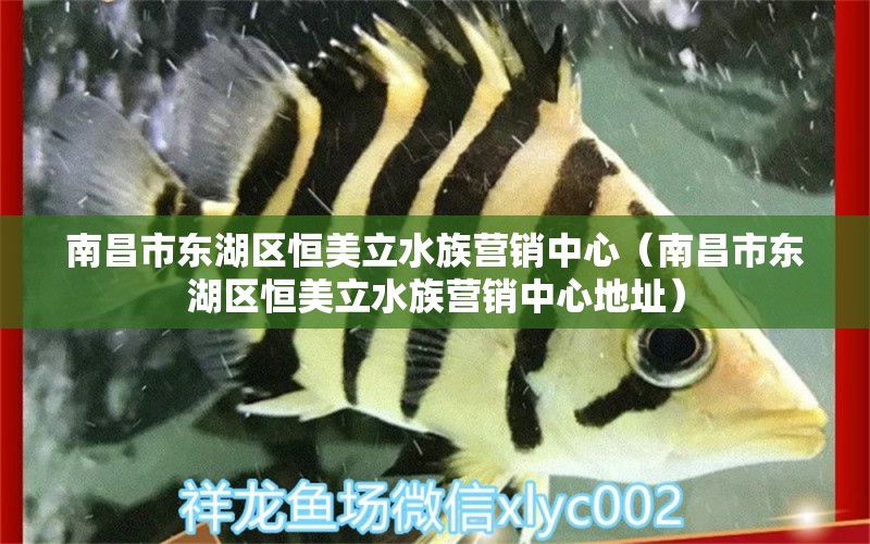 南昌市東湖區(qū)恒美立水族營(yíng)銷(xiāo)中心（南昌市東湖區(qū)恒美立水族營(yíng)銷(xiāo)中心地址）