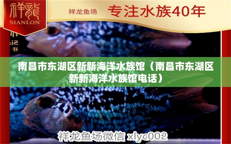 南昌市東湖區(qū)新新海洋水族館（南昌市東湖區(qū)新新海洋水族館電話）