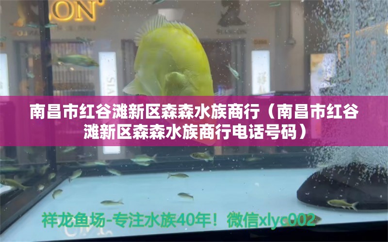 南昌市紅谷灘新區(qū)森森水族商行（南昌市紅谷灘新區(qū)森森水族商行電話號碼）