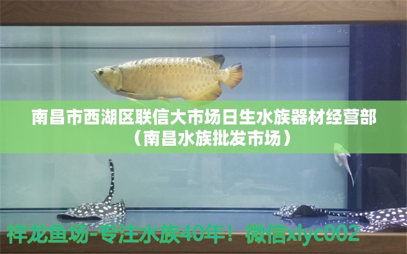 南昌市西湖區(qū)聯(lián)信大市場(chǎng)日生水族器材經(jīng)營(yíng)部（南昌水族批發(fā)市場(chǎng)）