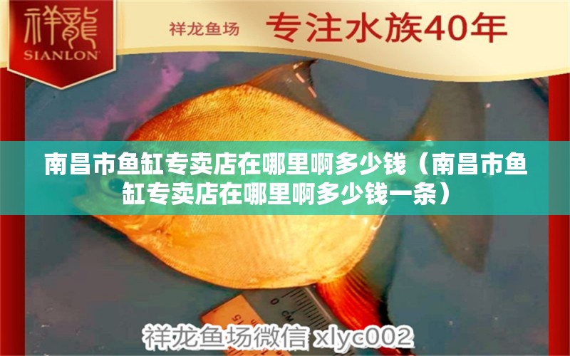 南昌市魚(yú)缸專賣店在哪里啊多少錢（南昌市魚(yú)缸專賣店在哪里啊多少錢一條）