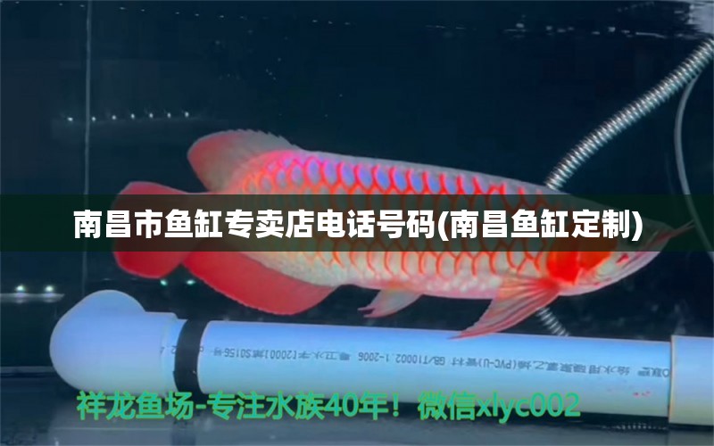 南昌市魚缸專賣店電話號碼(南昌魚缸定制)