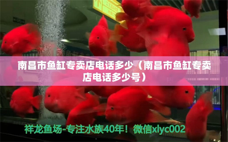 南昌市魚缸專賣店電話多少（南昌市魚缸專賣店電話多少號）