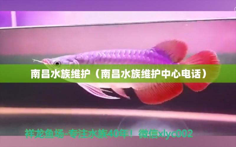 南昌水族維護(hù)（南昌水族維護(hù)中心電話）