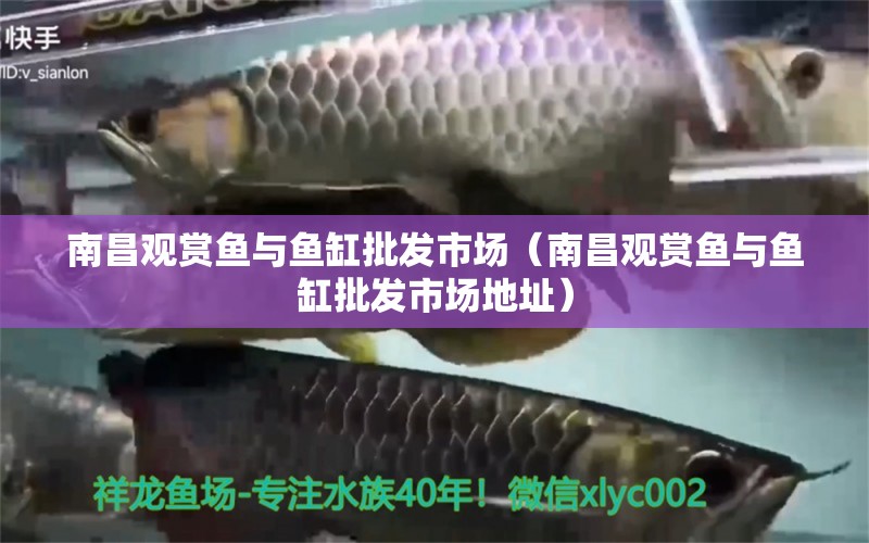 南昌觀賞魚與魚缸批發(fā)市場（南昌觀賞魚與魚缸批發(fā)市場地址） 其他品牌魚缸