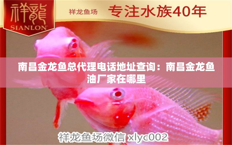 南昌金龍魚總代理電話地址查詢：南昌金龍魚油廠家在哪里 觀賞魚市場(chǎng) 第2張