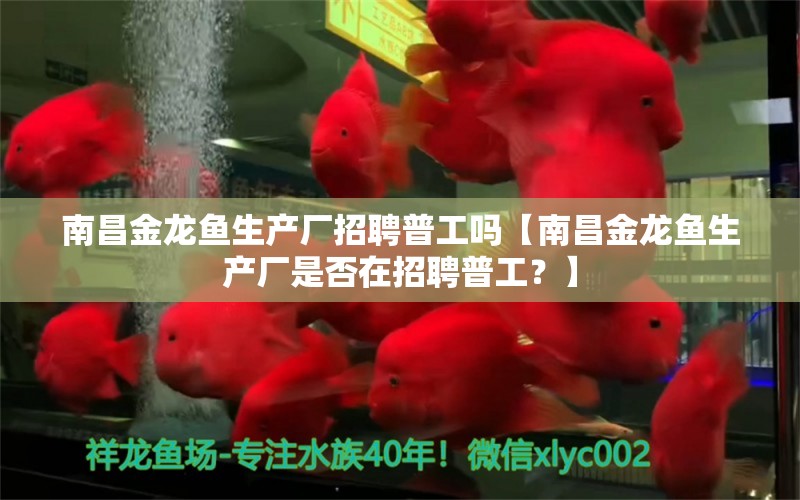 南昌金龍魚生產廠招聘普工嗎【南昌金龍魚生產廠是否在招聘普工？】 水族問答 第1張