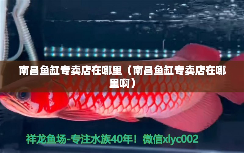 南昌魚缸專賣店在哪里（南昌魚缸專賣店在哪里?。?巴西亞魚