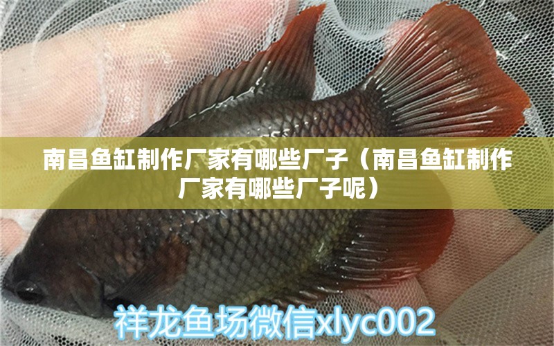 南昌魚缸制作廠家有哪些廠子（南昌魚缸制作廠家有哪些廠子呢）