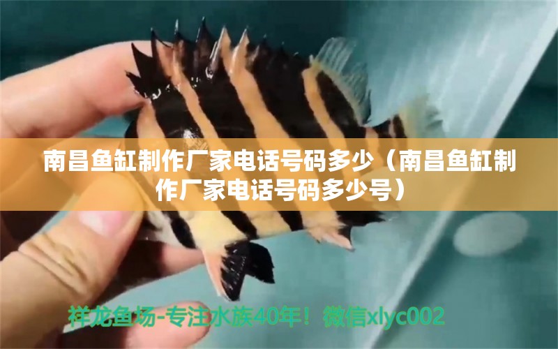 南昌魚(yú)缸制作廠家電話號(hào)碼多少（南昌魚(yú)缸制作廠家電話號(hào)碼多少號(hào)） 龍鳳鯉魚(yú)