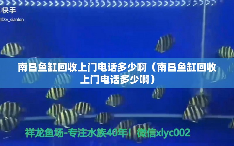 南昌魚缸回收上門電話多少啊（南昌魚缸回收上門電話多少啊）