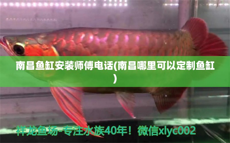 南昌魚缸安裝師傅電話(南昌哪里可以定制魚缸) 帝王迷宮