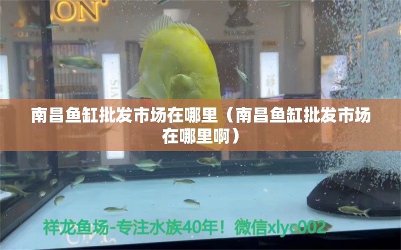 南昌魚缸批發(fā)市場在哪里（南昌魚缸批發(fā)市場在哪里啊）