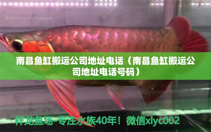 南昌魚缸搬運(yùn)公司地址電話（南昌魚缸搬運(yùn)公司地址電話號碼）