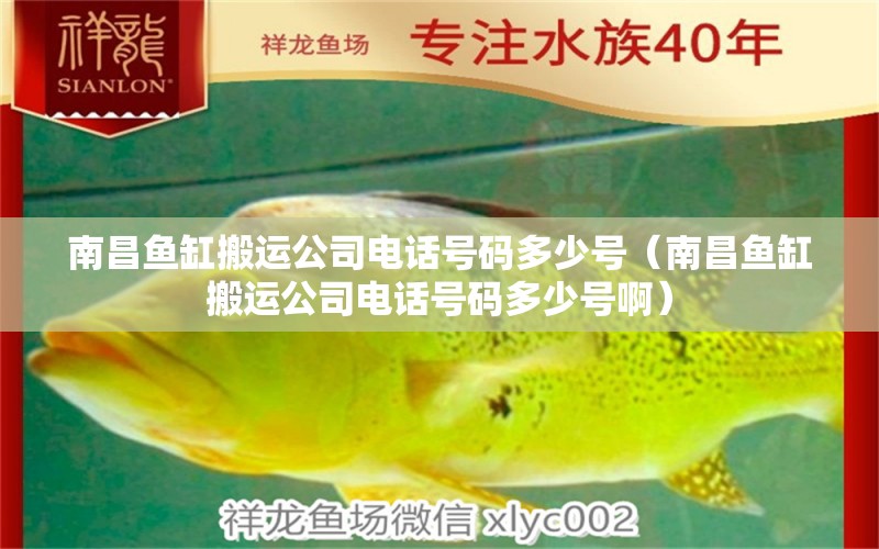 南昌魚缸搬運(yùn)公司電話號碼多少號（南昌魚缸搬運(yùn)公司電話號碼多少號?。? title=