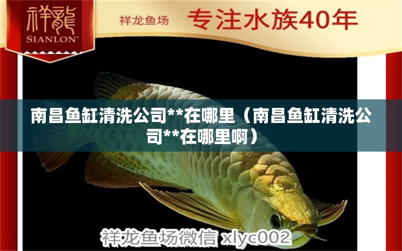 南昌魚缸清洗公司**在哪里（南昌魚缸清洗公司**在哪里?。?祥龍水族醫(yī)院