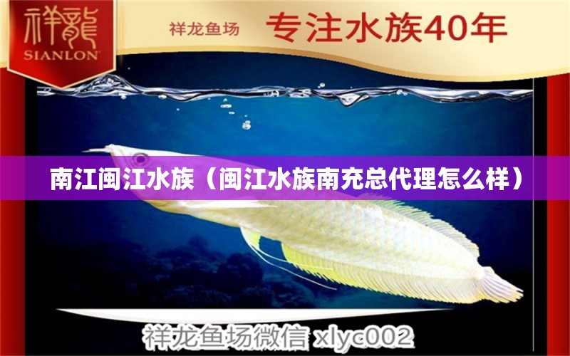 南江閩江水族（閩江水族南充總代理怎么樣） 全國水族館企業(yè)名錄