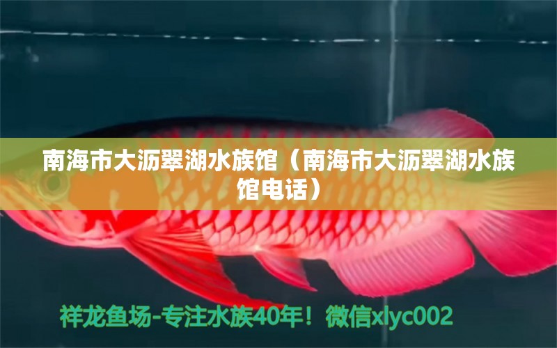 南海市大瀝翠湖水族館（南海市大瀝翠湖水族館電話） 全國(guó)水族館企業(yè)名錄